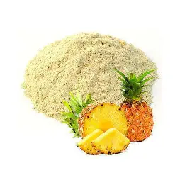 Pineapple powder – natural source of potassium and magnesium for fluid balance and kidney support in FlushFactor Plus